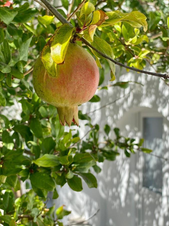 Maria Elena - Suite Home Mykonos Town Εξωτερικό φωτογραφία