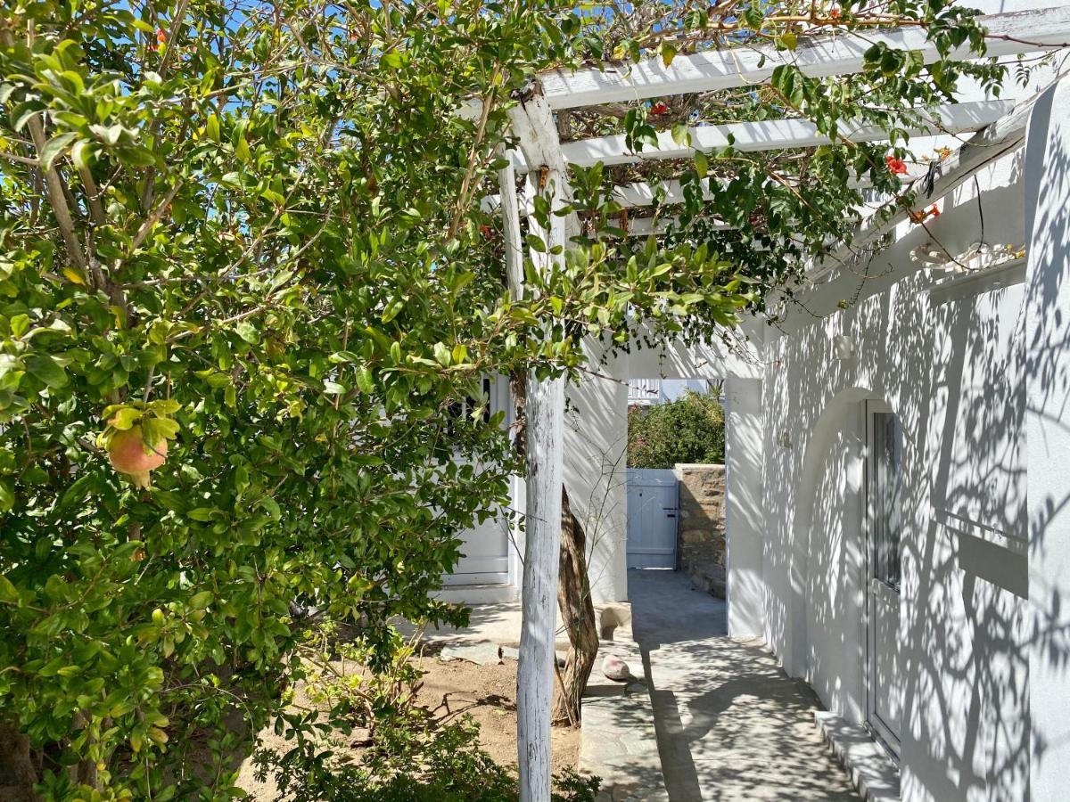 Maria Elena - Suite Home Mykonos Town Εξωτερικό φωτογραφία